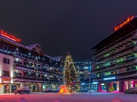 Ruka